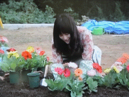 「鉢植を買う女」１.gif