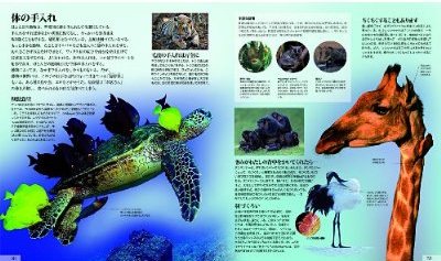 動物生態大図鑑 3.jpg