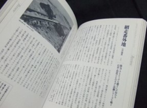 映画秘宝ex 鮮烈！アナーキー日本映画史1959-1979　　.jpg