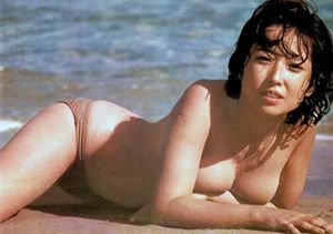 竹下景子 （たけしたけいこ） 1953年9月15日生まれ.jpg