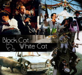 黒猫・白猫00.jpg