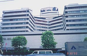 -Hotel-New-Japan_(1993).jpg
