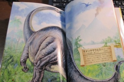 IMG_5471マメンチサウルス.JPG