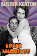 Spite Marriage (1929)　輸入盤.jpg