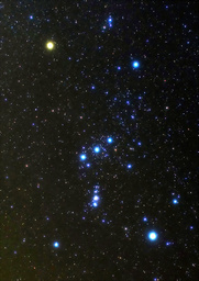 オリオン座。左上の明るい星がベテルギウス.jpg