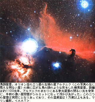 馬頭星雲.jpg