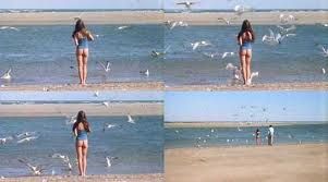 『ありきたりな狂気の物語』マルコ・フェレーリ監督/ブコウスキー ありきたりな狂気の物語 | 内容・スタッフ・キャスト・作品情報 - 映画