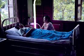 ブンミおじさんの森 スペシャル・エディション('10英/タイ/独/仏/スペイン) ブンミおじさんの森 - 109シネマズ | 109CINEMAS