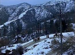 1041】 <strong>◎ テオ・アンゲロプロス 「<font color=peru>旅芸人の